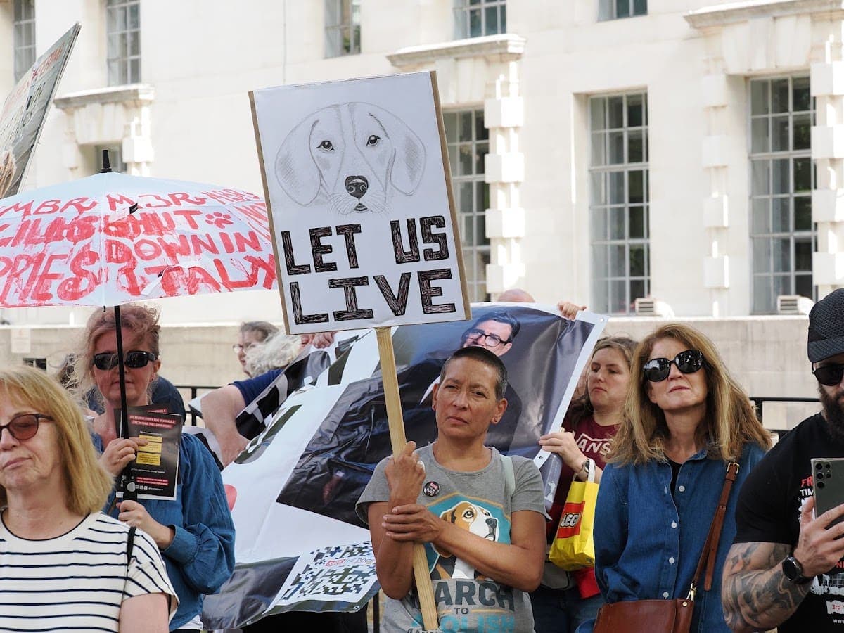 London march — photograph by Stephen Noulton
