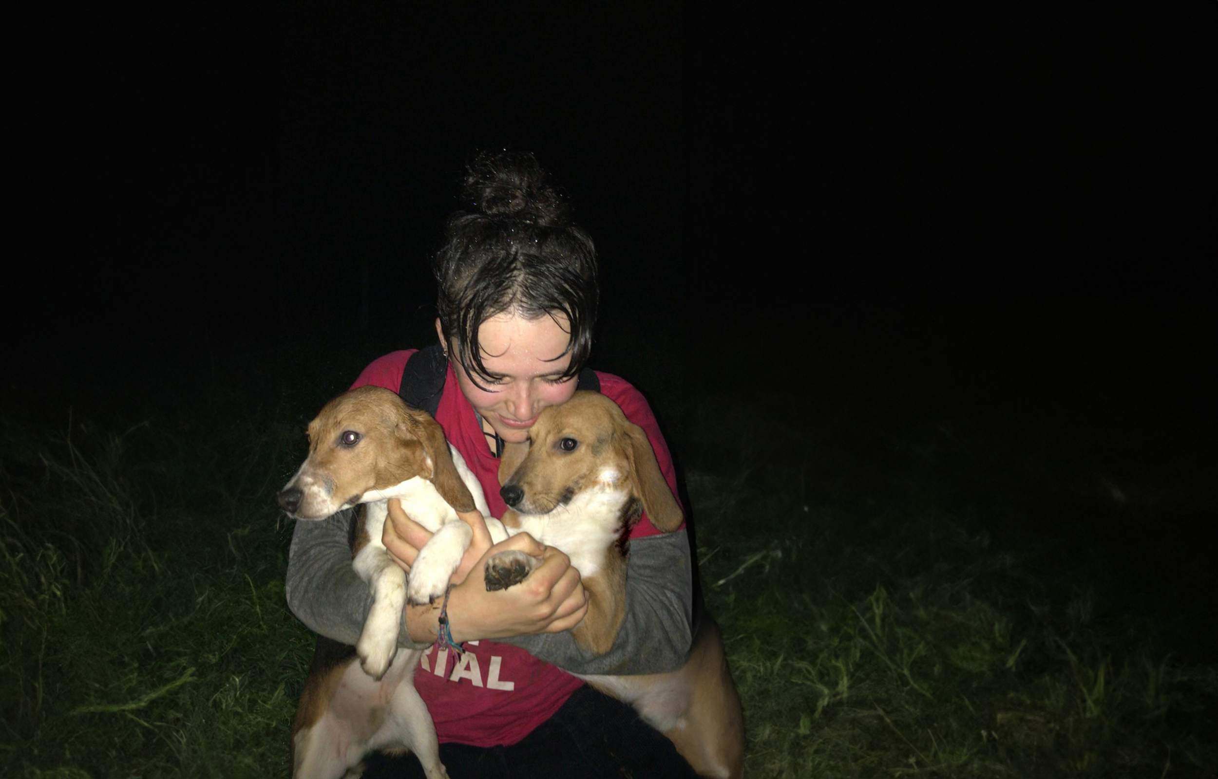 Love and Libby, the two beagle puppies intercepted by police and returned to MBR Acres