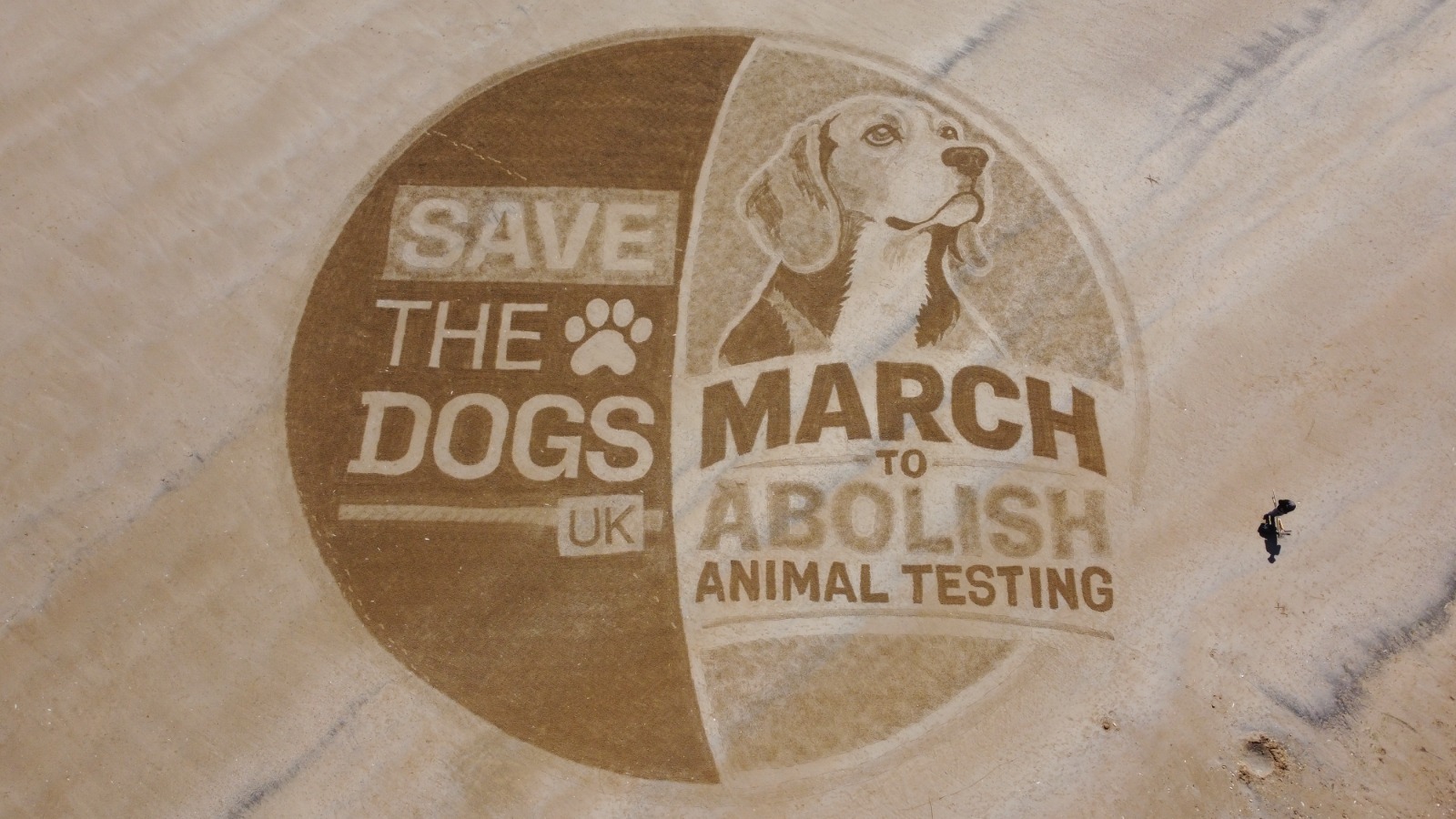 Save the Dogs and March to Abolish Animal Testing logos, illustrated in the sand