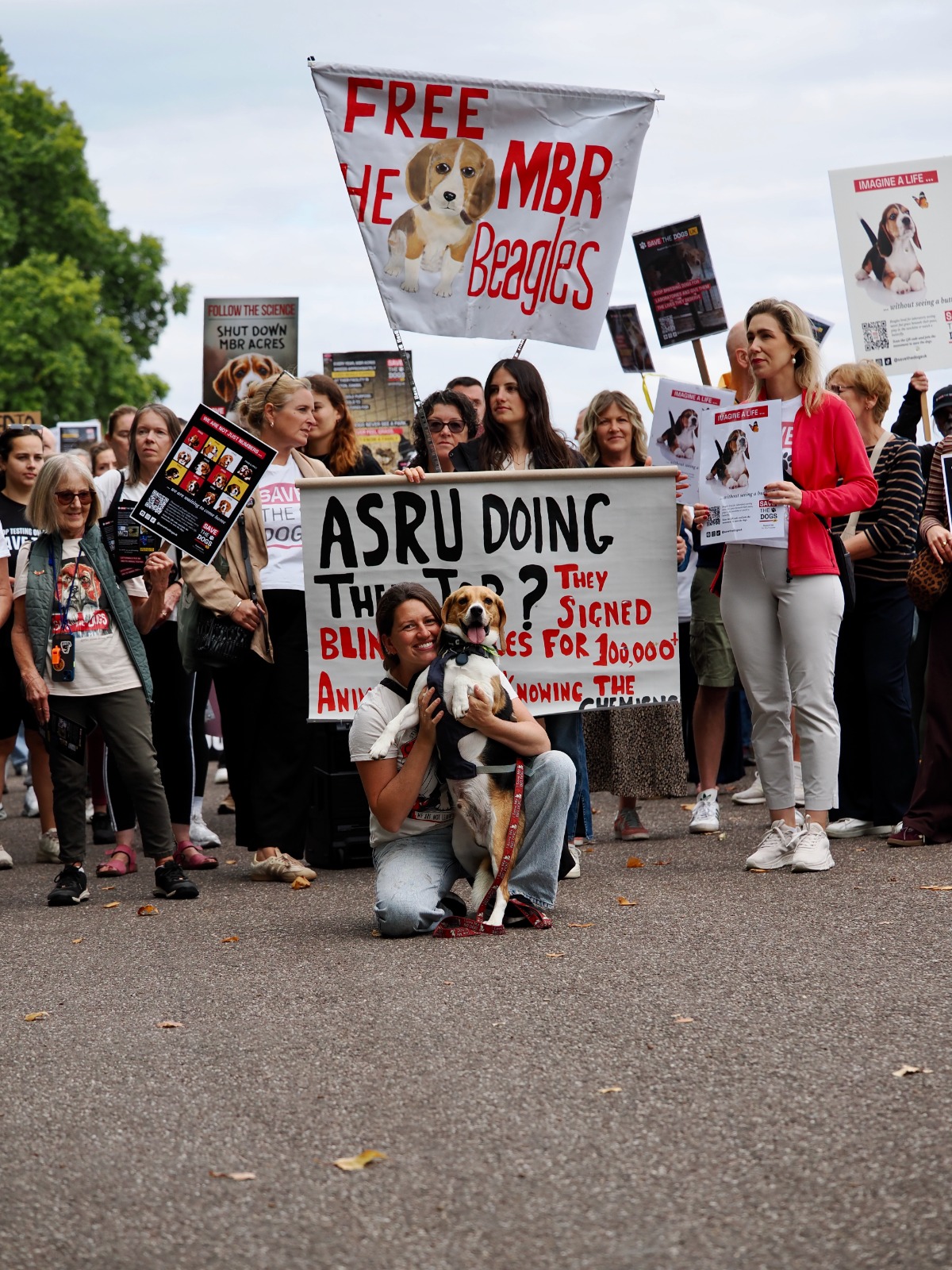 Dave the Beagle, with campaigners at the London March