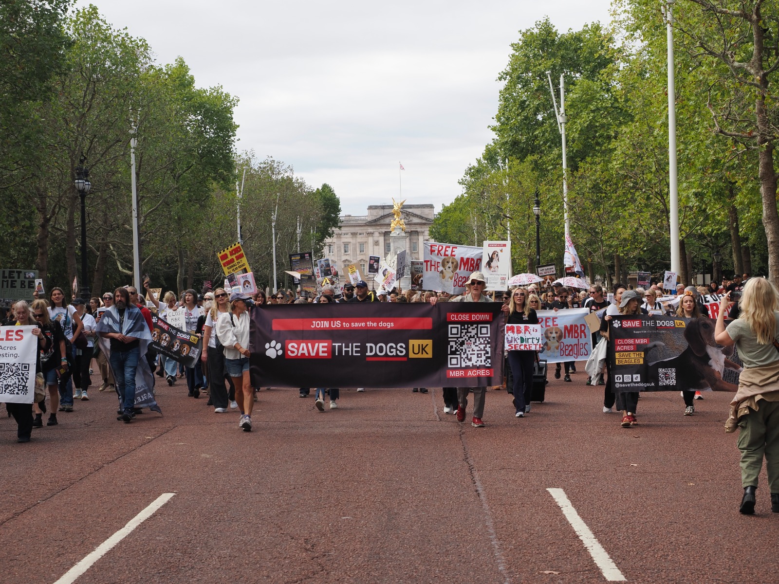 Save the Dogs campaigners marching down the Mall in London